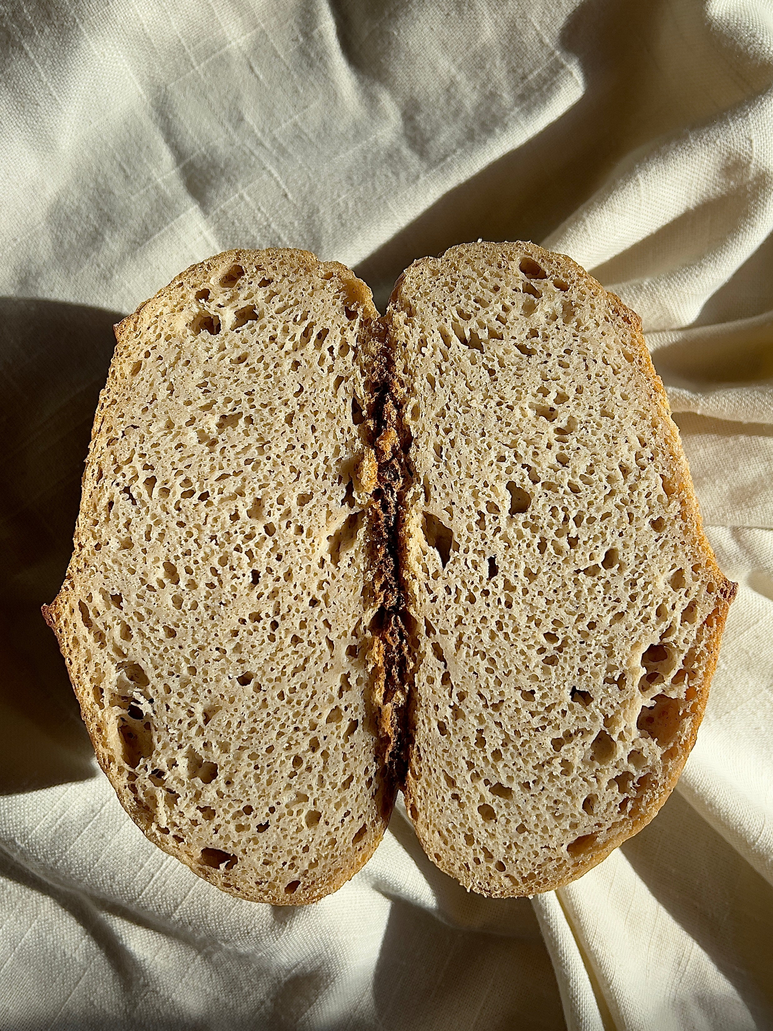 Gluten-Free Sourdough